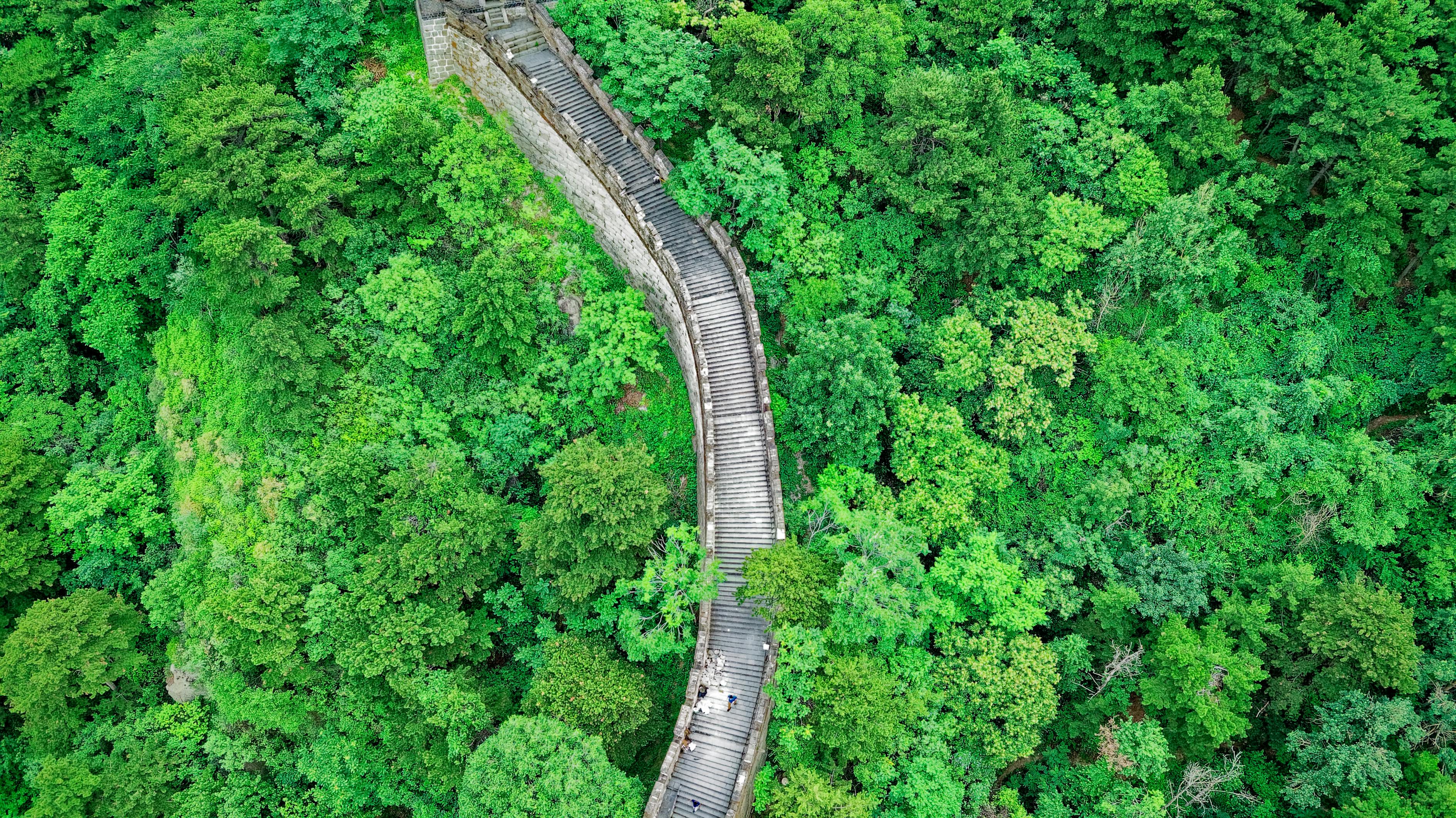 游客长城拍照遭遇砖块松动，慌张与责任并存的瞬间