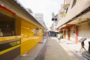 打造线上商业门面，轻松提升店铺魅力——阿里巴巴店铺装修模板全解析