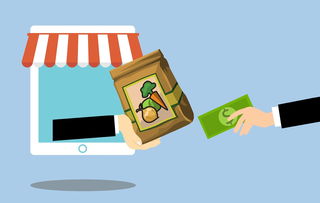 京东自营店，品质保障与便捷购物的完美结合