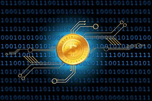 解冻保证金，掌握资金流动的关键步骤