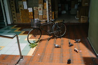 打造完美店铺形象的秘密武器——店铺装修模板