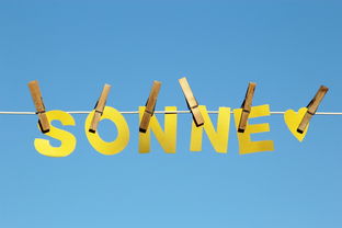 从零到一的创业指南