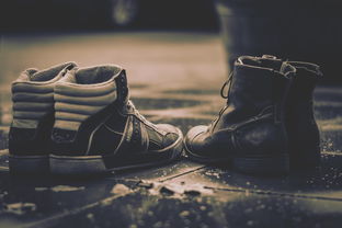 探索秋季时尚必备单品——Boots官网全解析