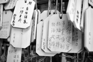 淘宝跳蚤市场的兴起与价值