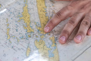 上海疫情地图，揭秘累计感染前五位地区的抗疫故事