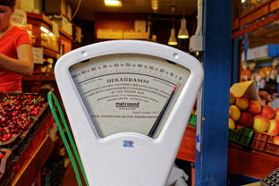 淘宝历史价格查询，洞察价格波动，精明购物的利器