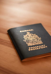支付宝卡通，一键支付的便捷之旅