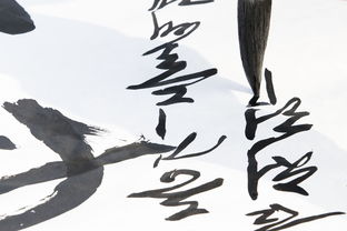 小伙靠书法帮父母还清2000万巨债，艺术与坚持的力量