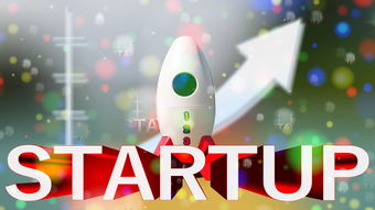 谢娜的淘宝店，明星电商的成功案例与启示