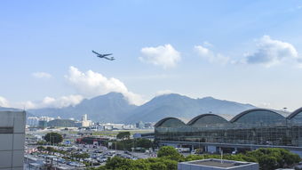 通辽市疫情动态，最新通报与防控指南