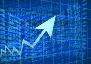 2023年12月，疫情的波动与我们的应对策略