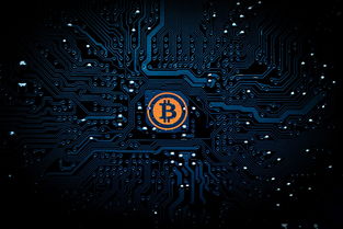 解锁数字财富的钥匙，支付宝登录密码的奥秘