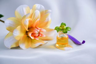 佰草集护肤品，适合不同年龄段的肌肤护理指南